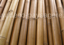Bambou naturel
