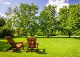 Semence gazon naturel