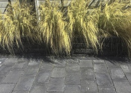 tumbelton_coal_1