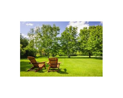 Semence gazon naturel