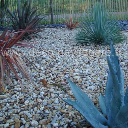 realisations realisations massifs deco paysagere