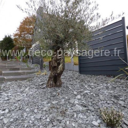 realisations realisations massifs deco paysagere