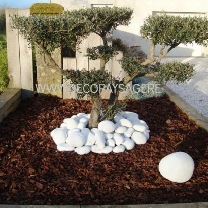 realisations realisations massifs deco paysagere